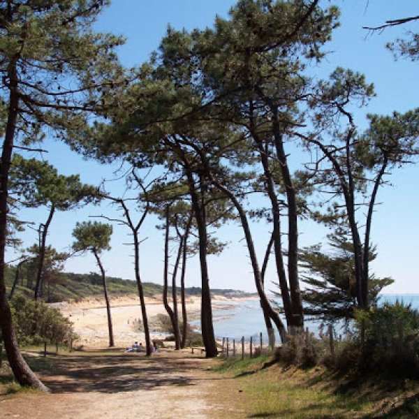Plage à 3 km
