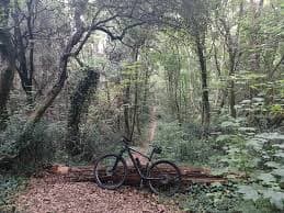 vtt